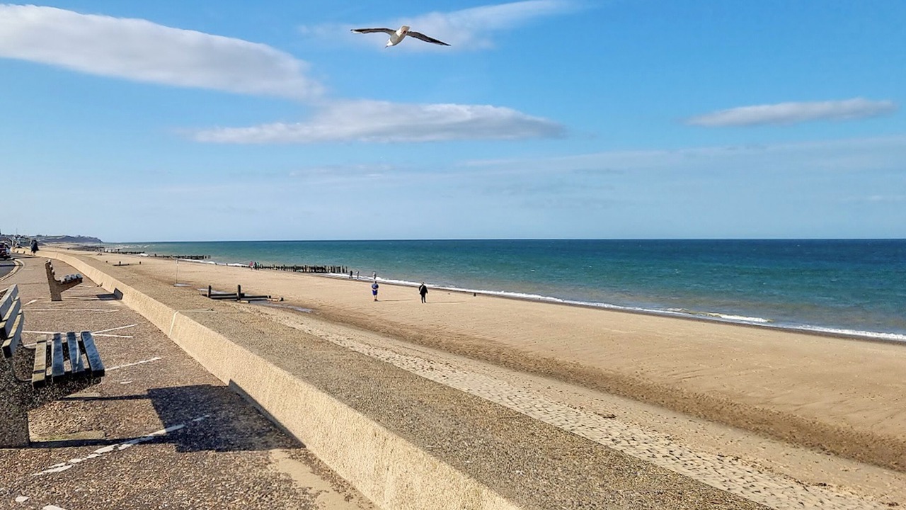 Photo of Others in Walcott