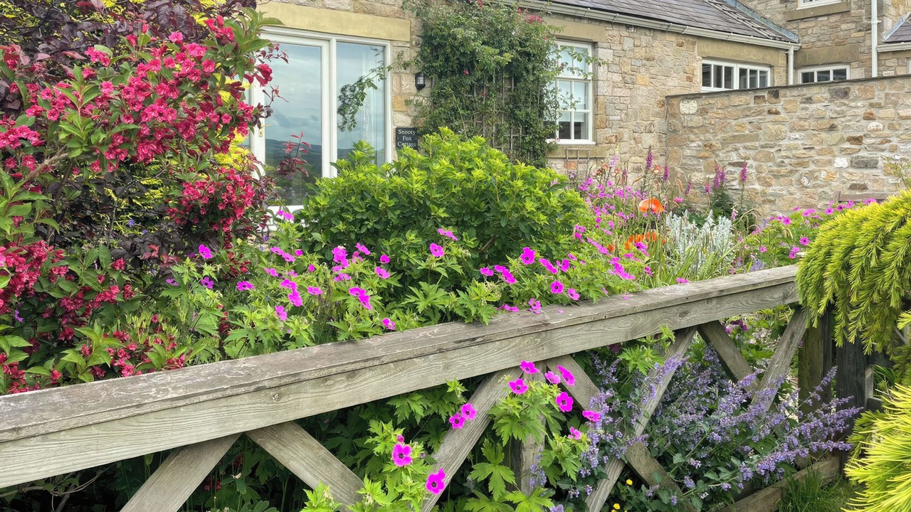 Photo of Outdoor in Hexham