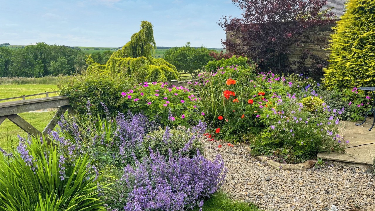 Photo of Outdoor in Hexham