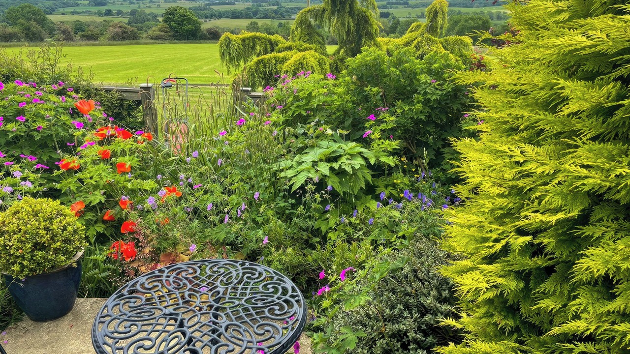 Photo of Outdoor in Hexham