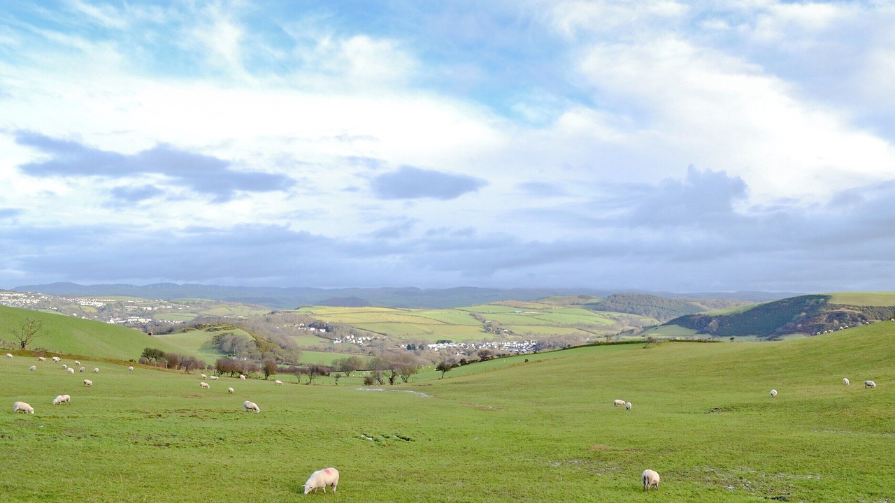 Photo of Others in Chancery