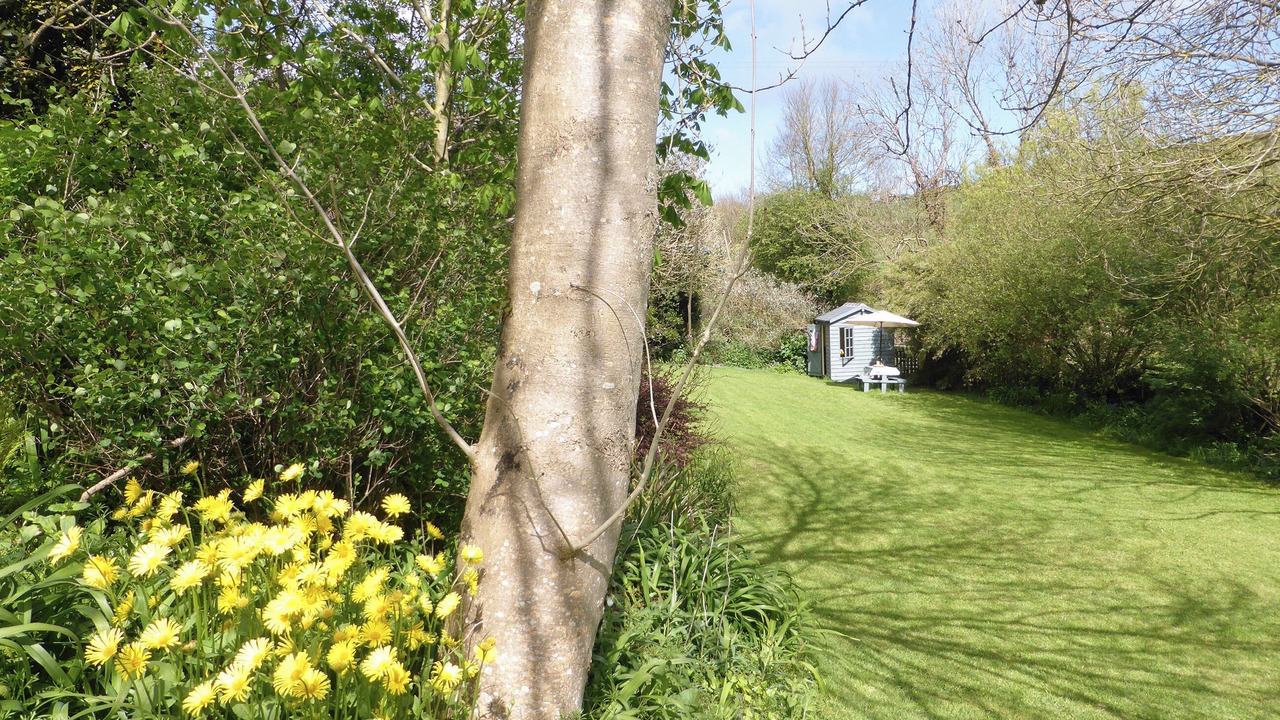 Photo of Others in Portholland