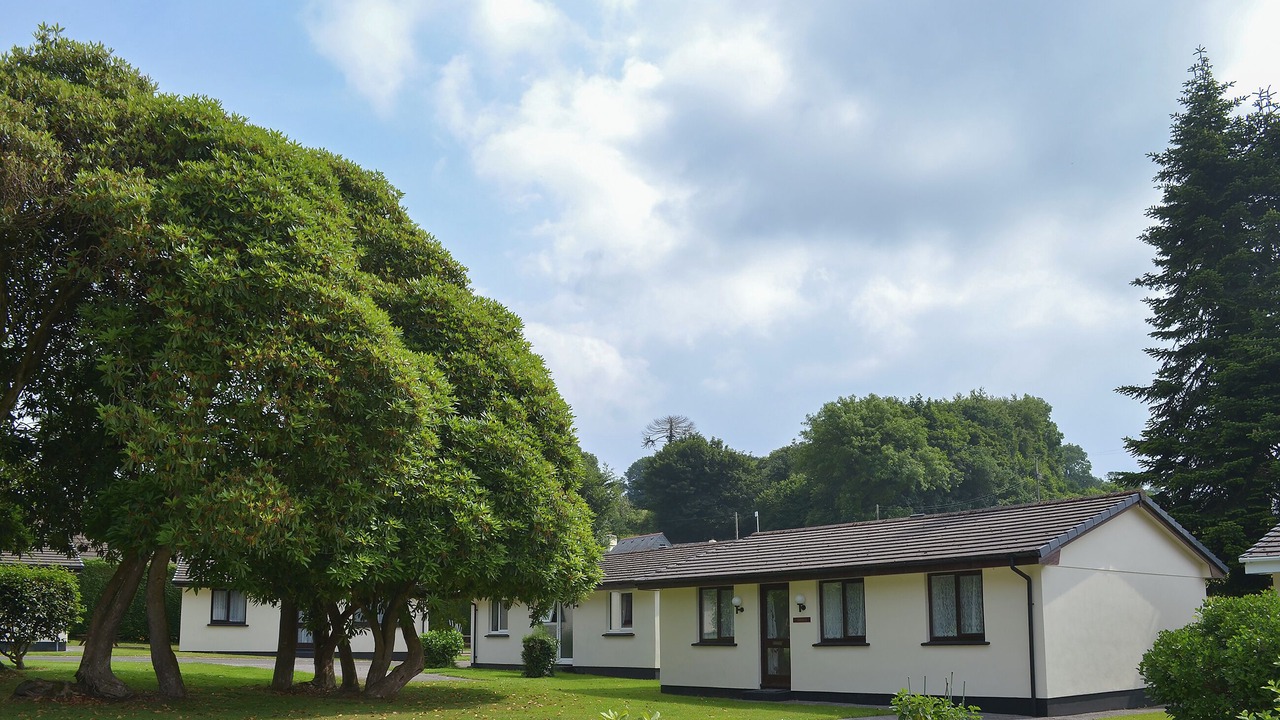 Photo of Others in Liskeard