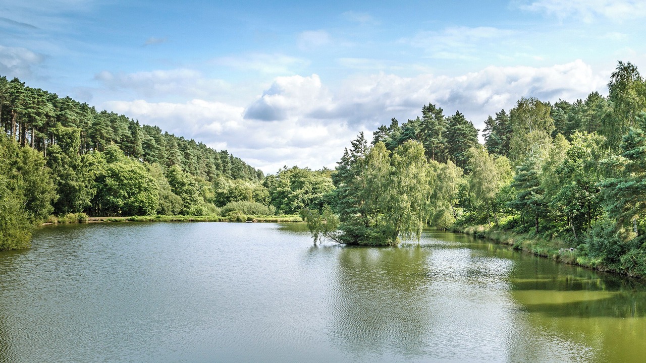 Photo of Others in King's Bromley