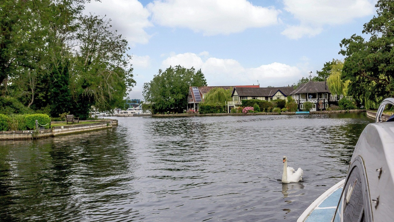 Photo of Others in Hoveton