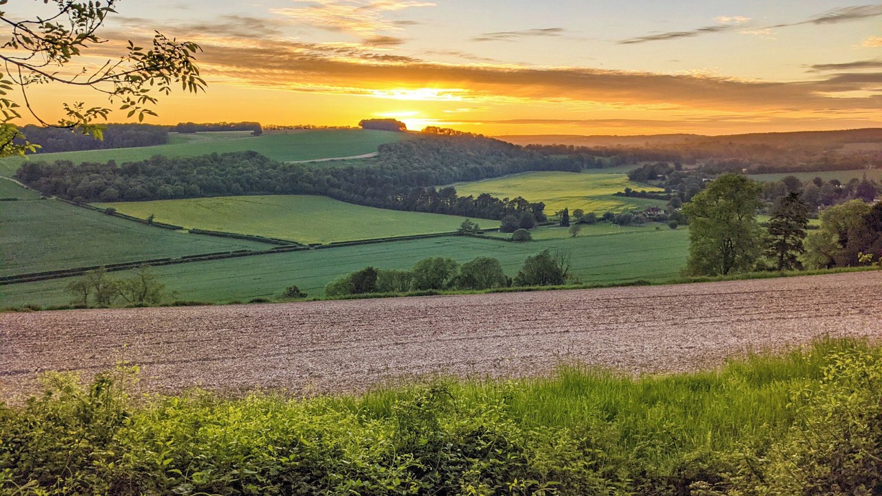 Photo of Others in Compton
