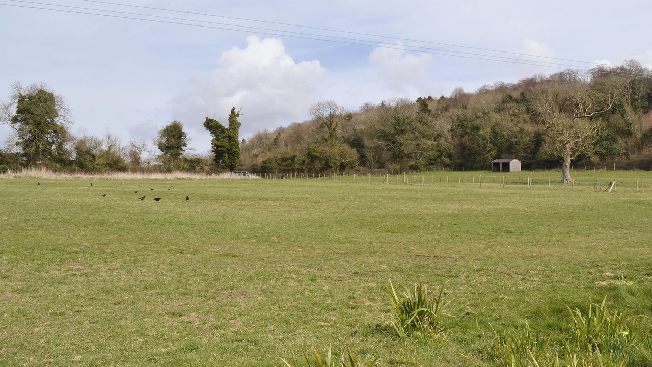 Photo of Others in Compton