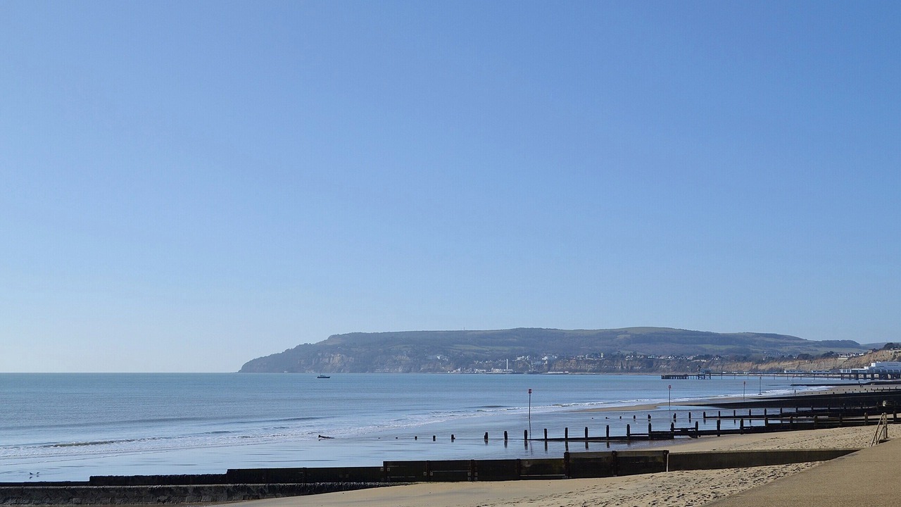 Photo of Others in Sandown