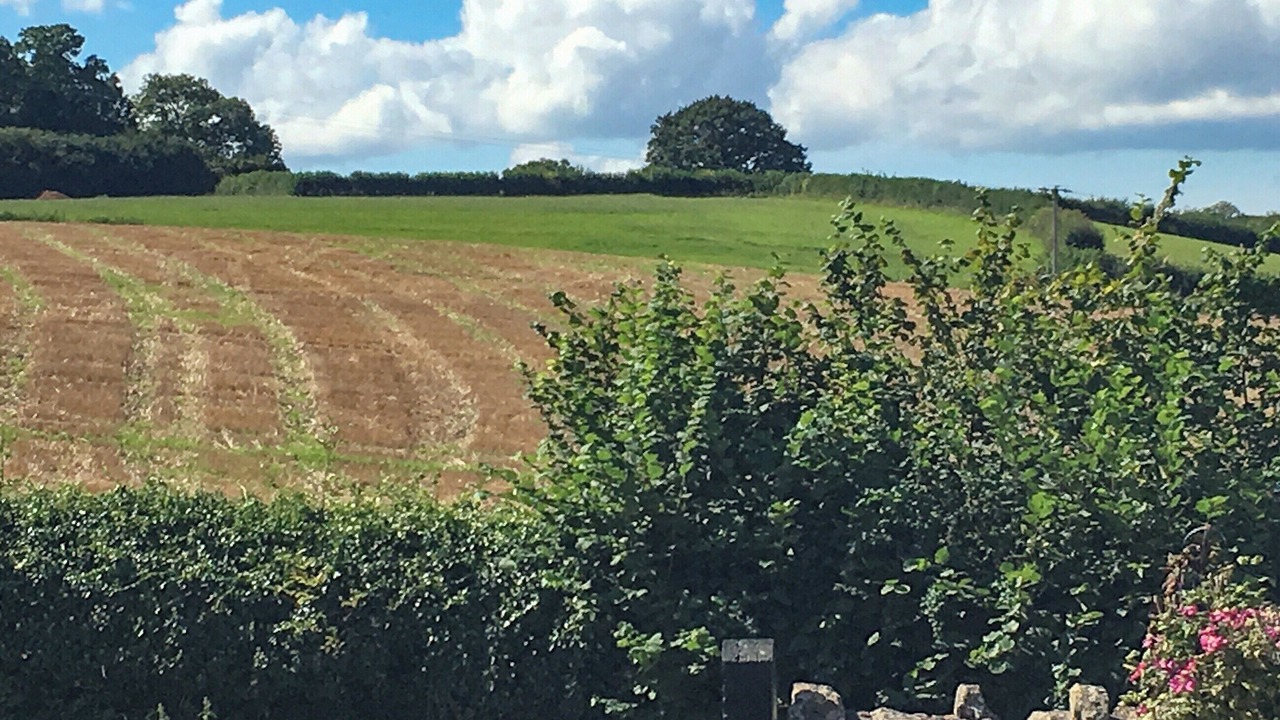 Photo of Others in Peasedown Saint John