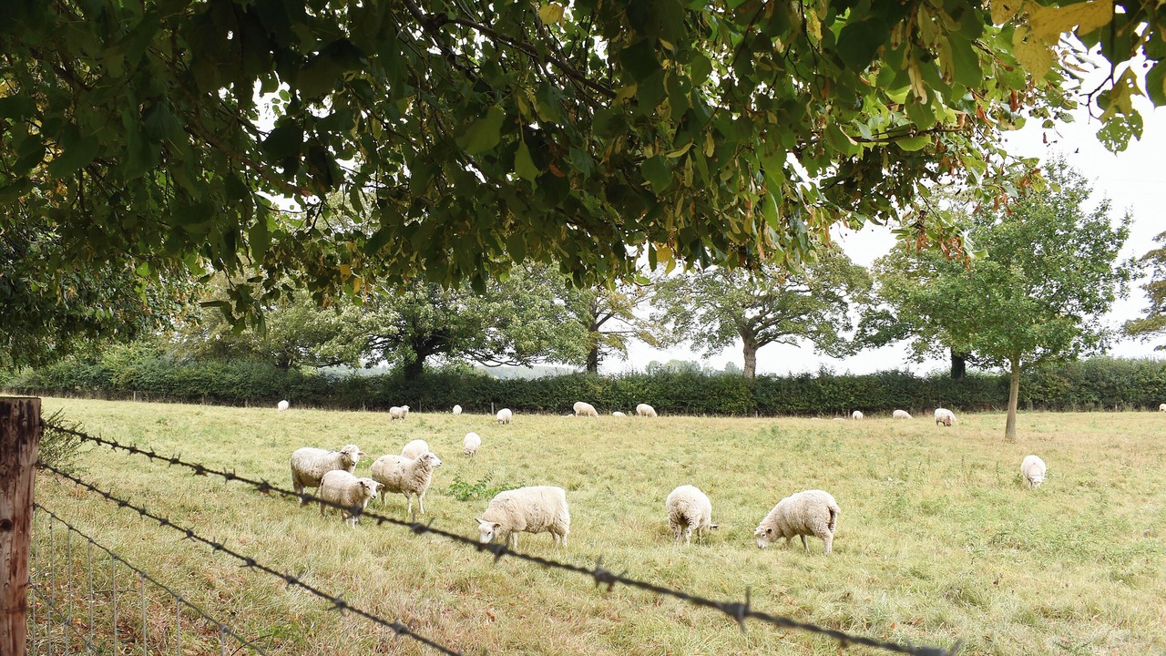 Photo of Others in Oxborough