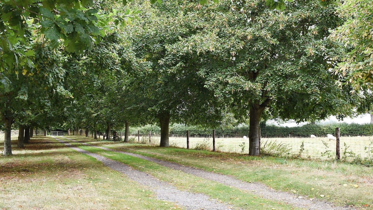 Photo of Others in Oxborough