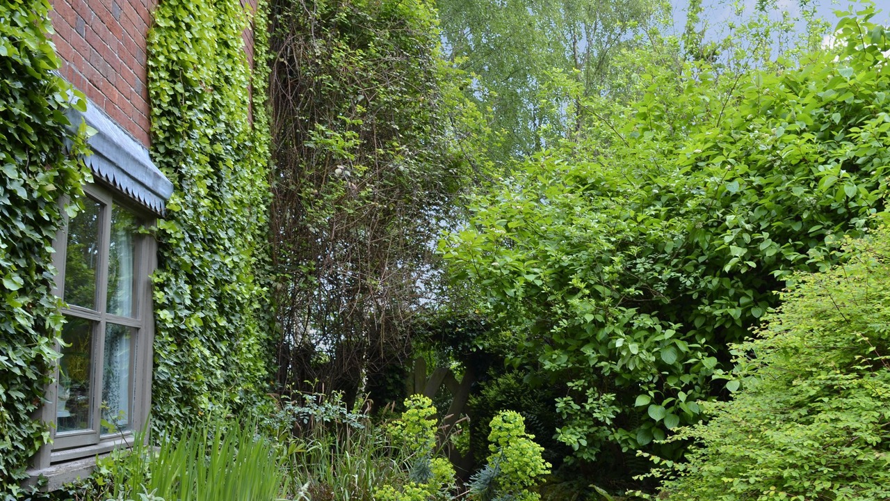 Photo of Outdoor in Wareham