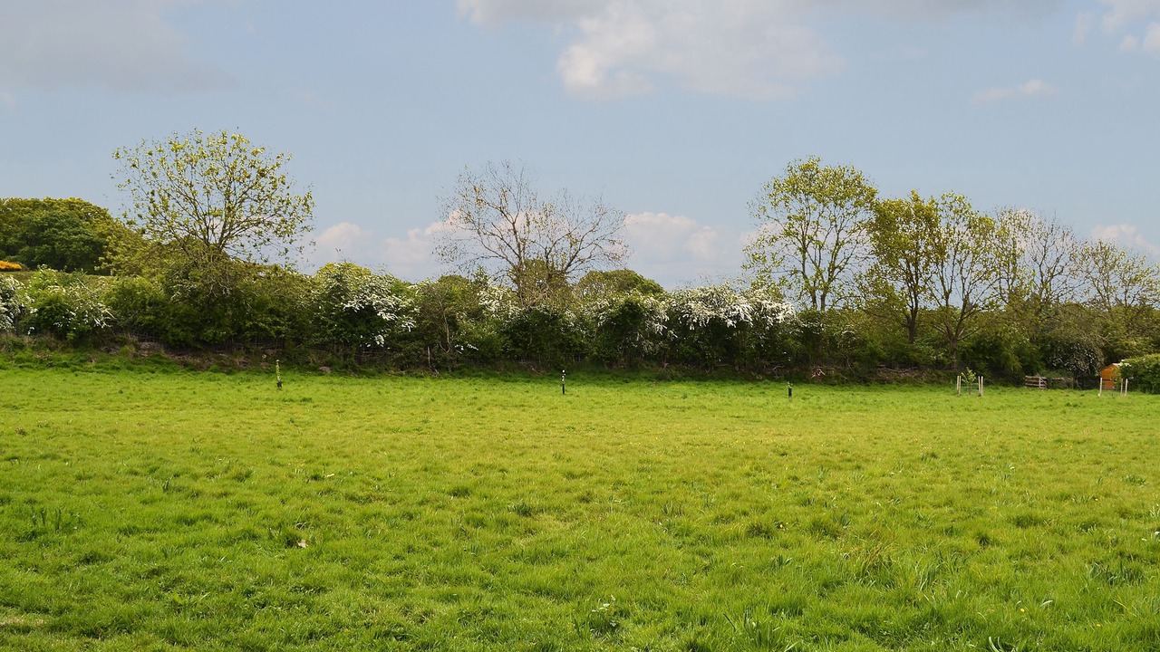 Photo of Outdoor in Wareham