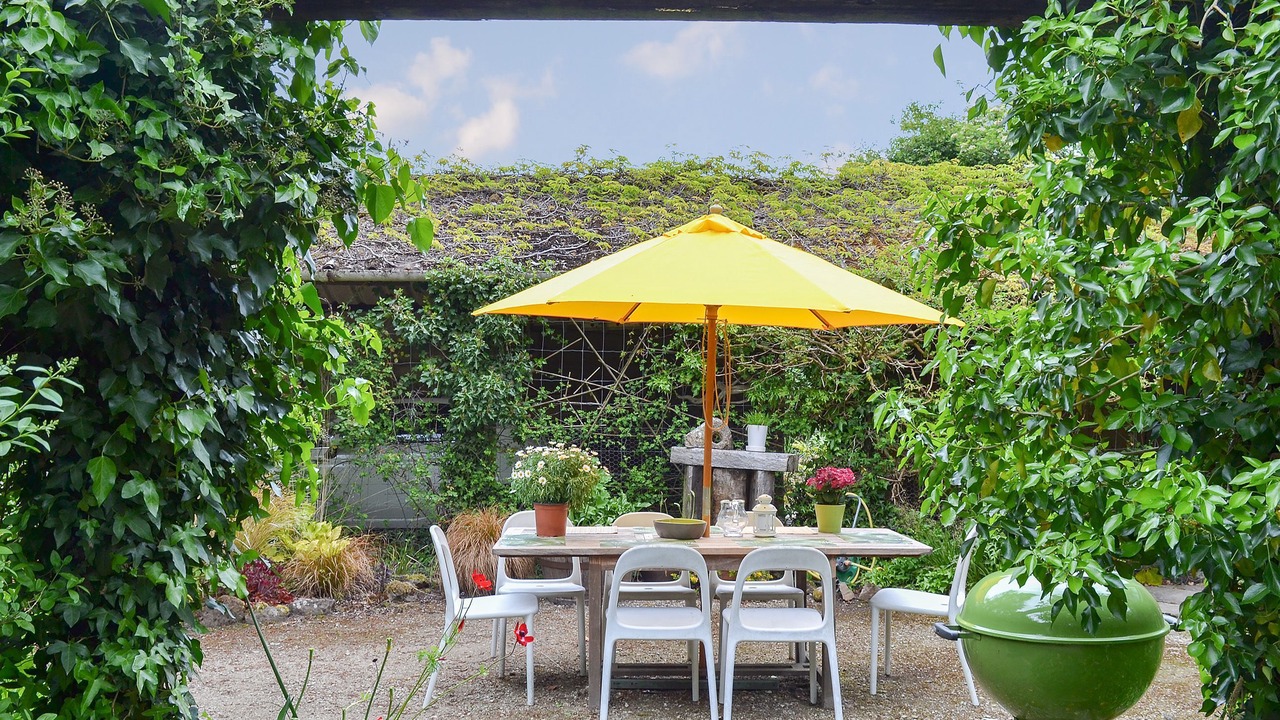 Photo of Outdoor in Wareham