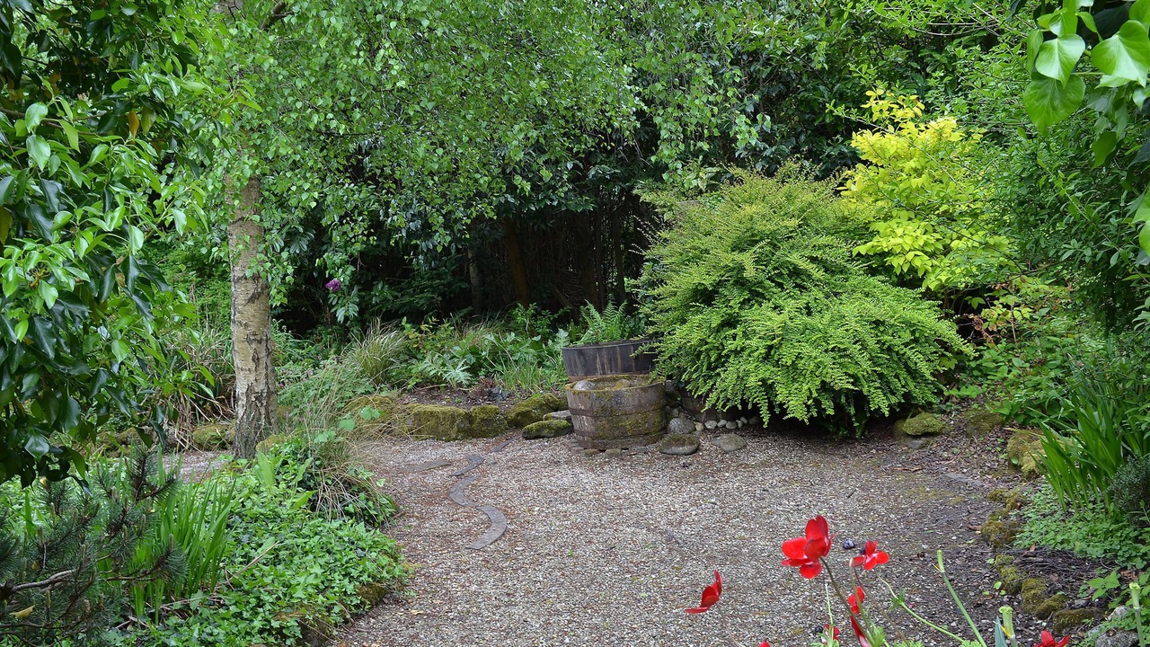 Photo of Outdoor in Wareham