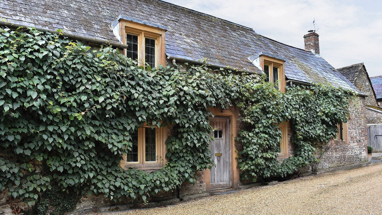 Photo of Others in Cerne Abbas