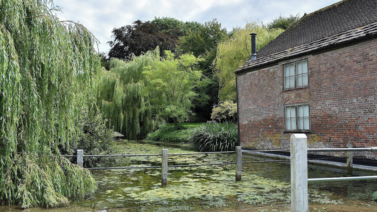 Photo of Others in Cerne Abbas