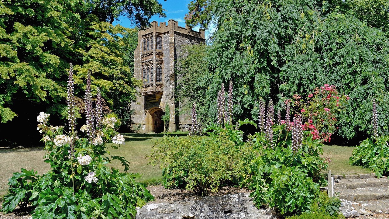 Photo of Others in Cerne Abbas
