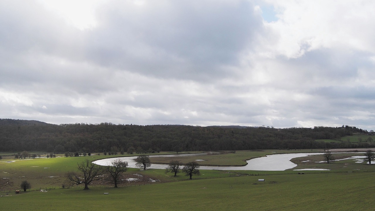 Photo of Others in Walcot