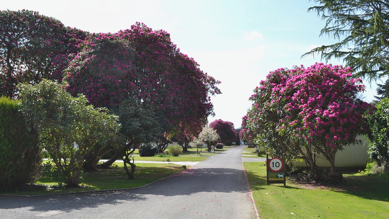 Photo of Others in Liskeard