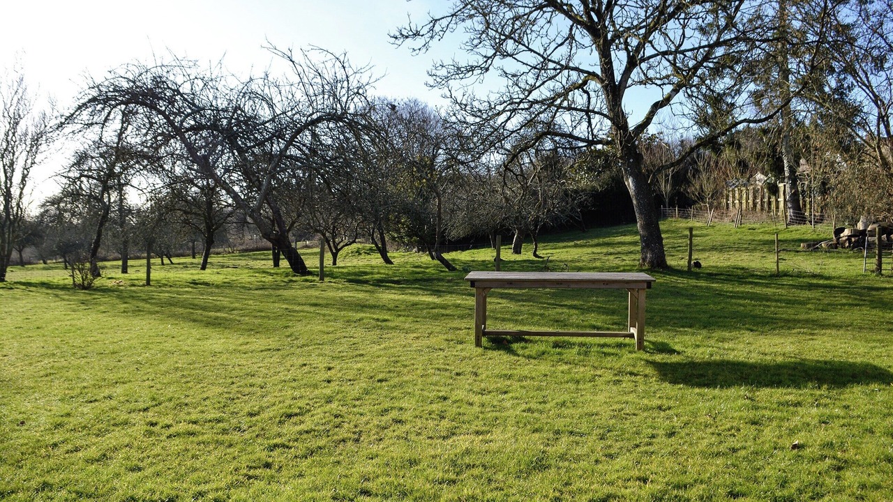 Photo of Outdoor in Bridport