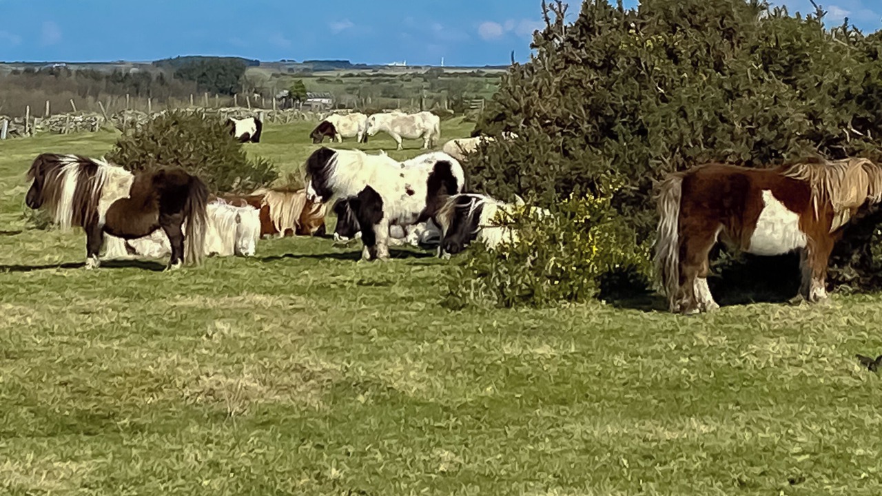 Photo of Others in Saint Breward