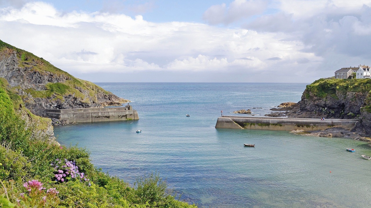 Photo of Others in Port Isaac