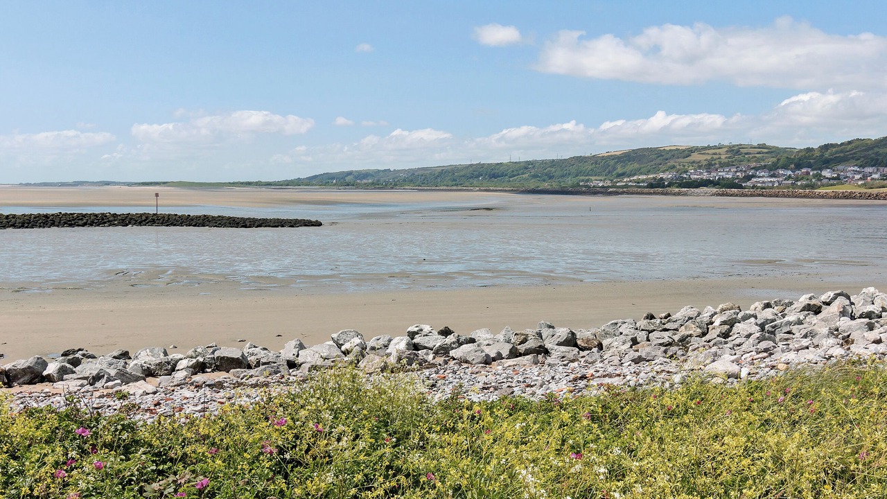 Photo of Others in Llanelli