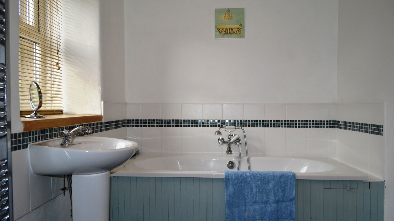 Photo of Others in Scales