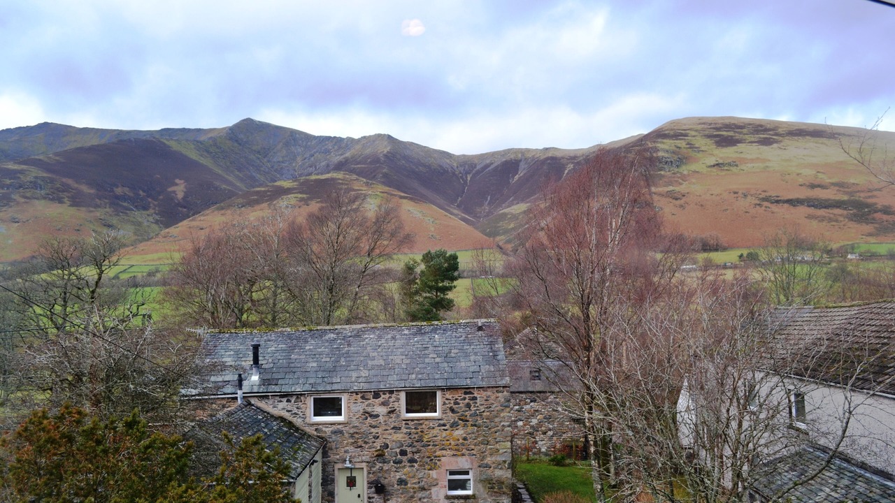 Photo of Others in Scales