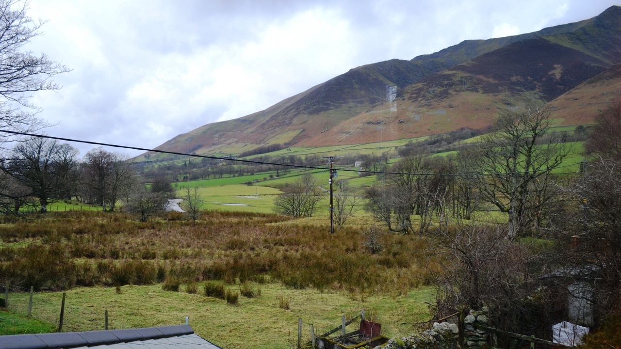 Photo of Others in Scales