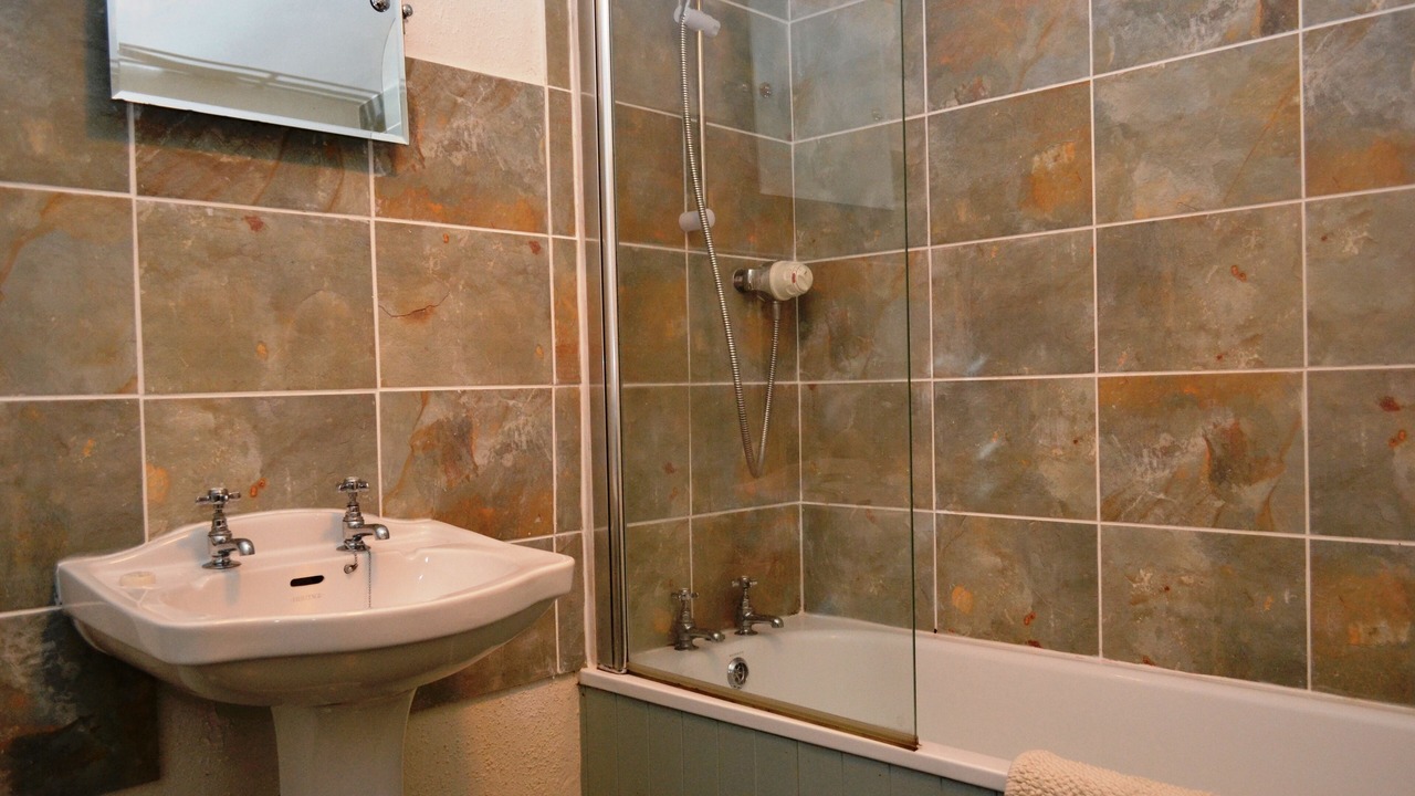 Photo of Others in Scales