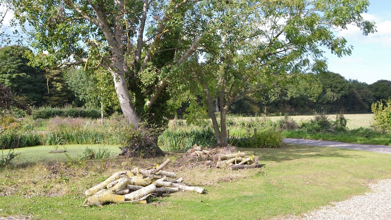 Photo of Outdoor in Irstead