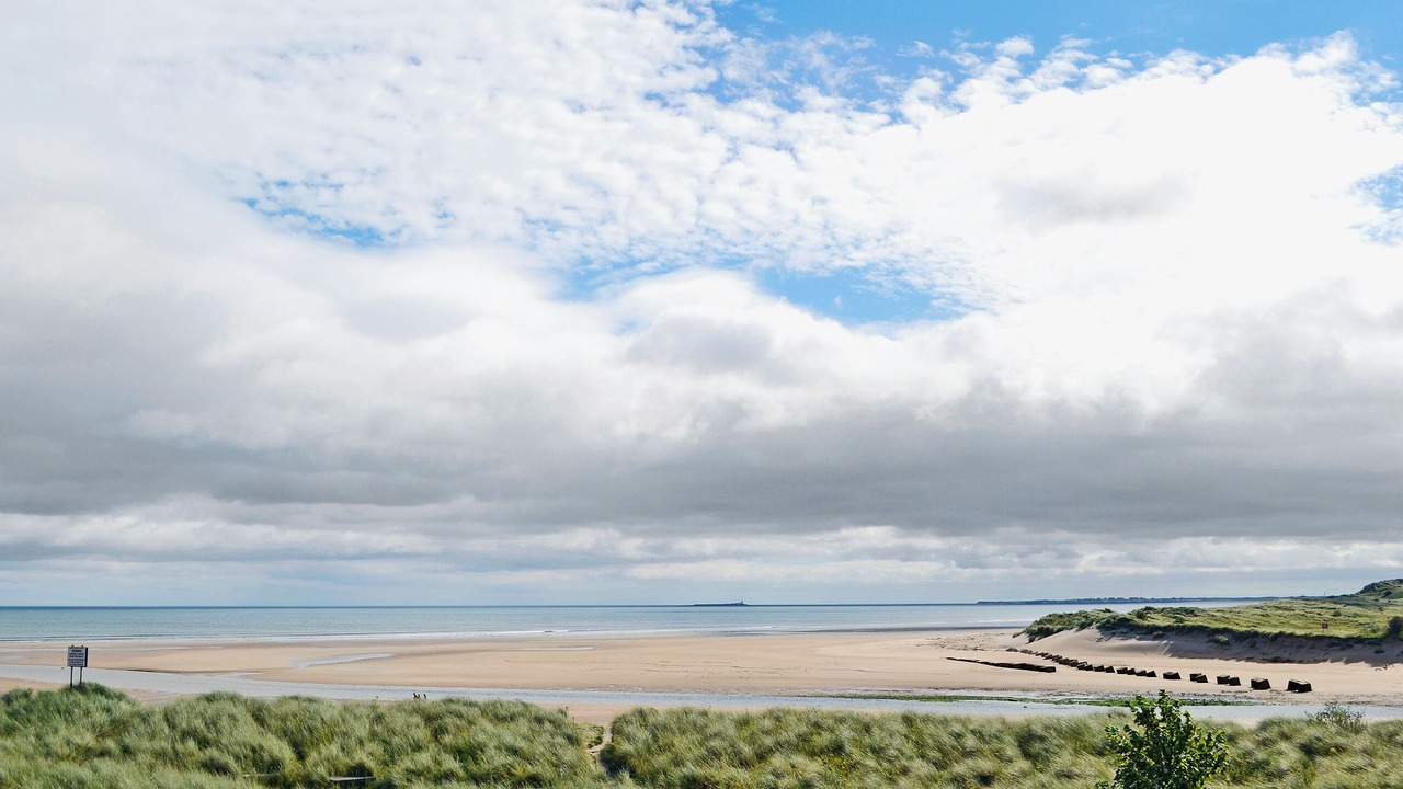 Photo of Others in Alnmouth