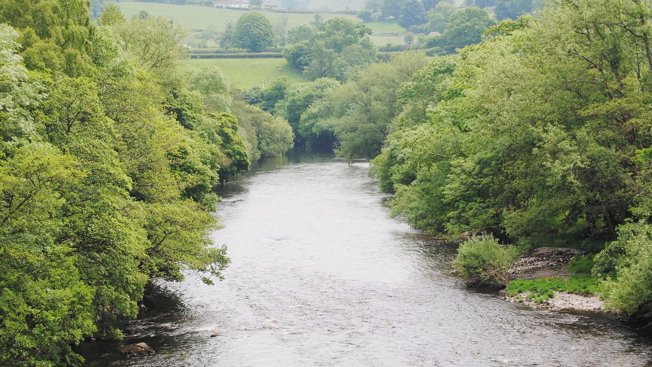 Photo of Others in Bala