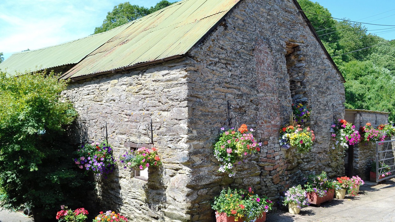 Photo of Outdoor in Newton Ferrers