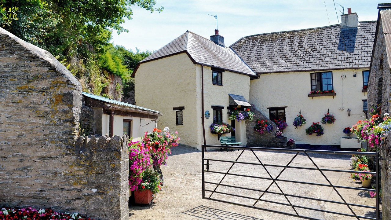 Photo of Others in Newton Ferrers