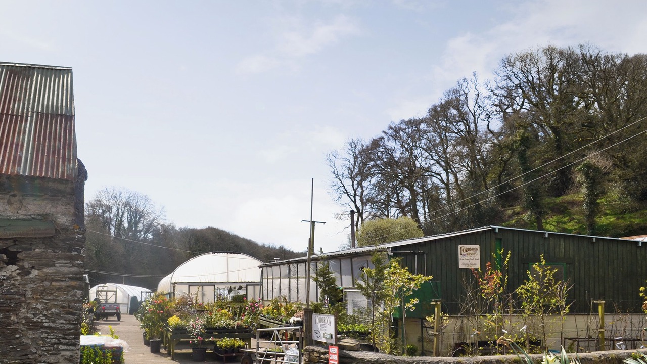 Photo of Others in Newton Ferrers