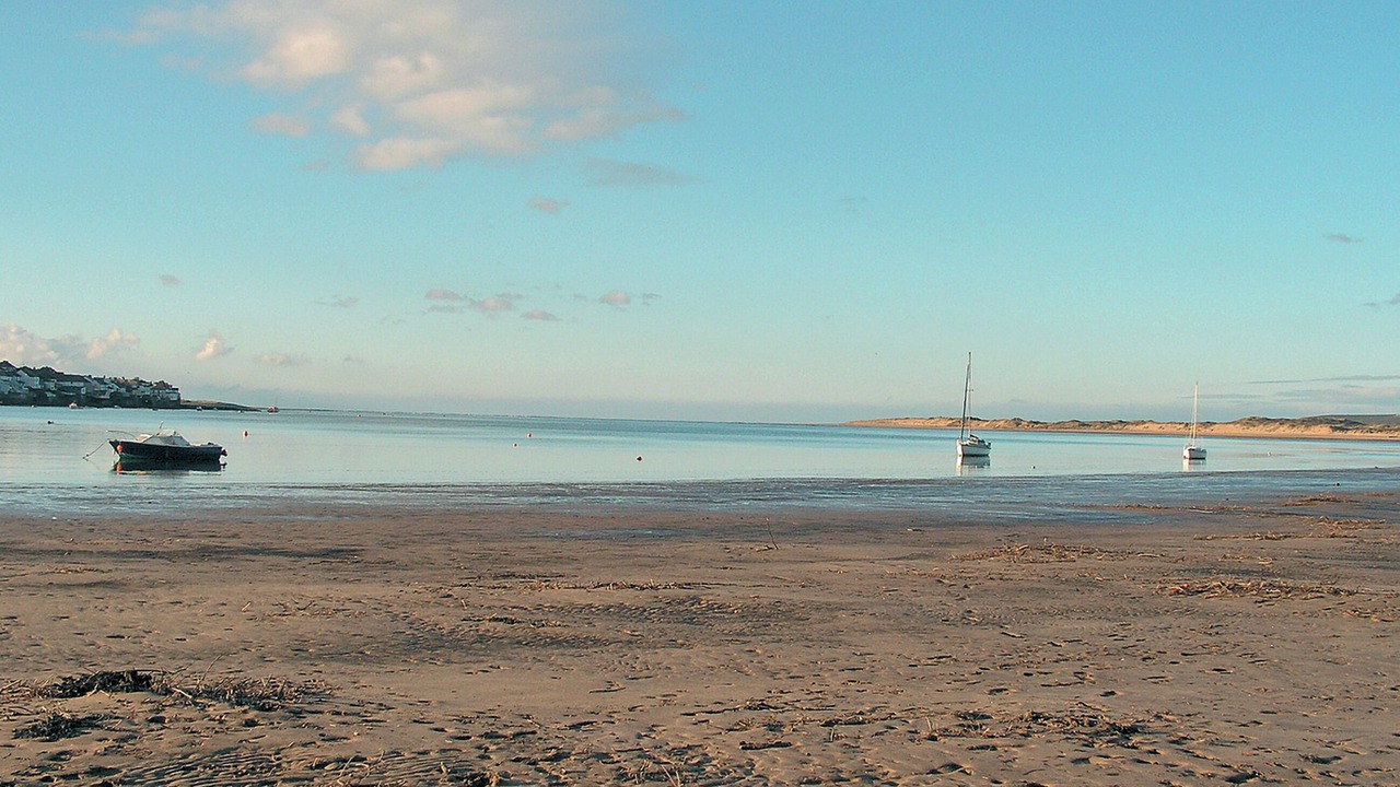 Photo of Others in Instow