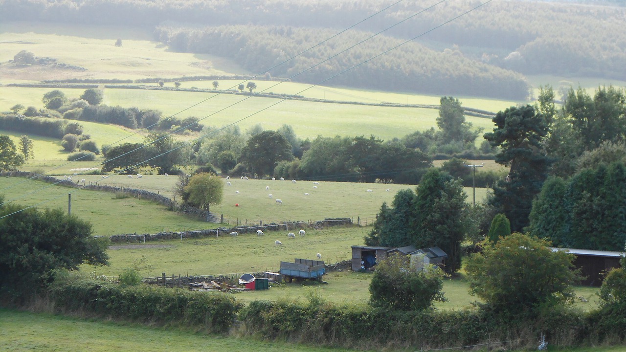 Photo of Others in Staintondale
