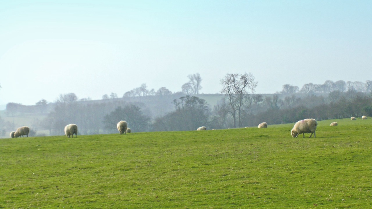 Photo of Others in Rye Foreign