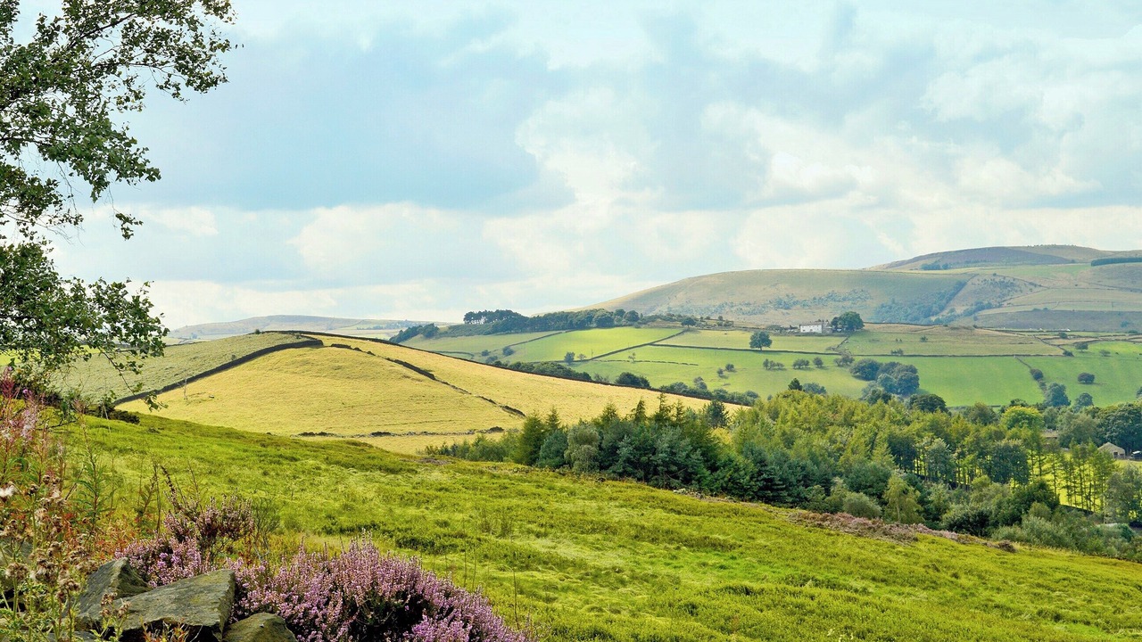 Photo of Others in Little Hayfield