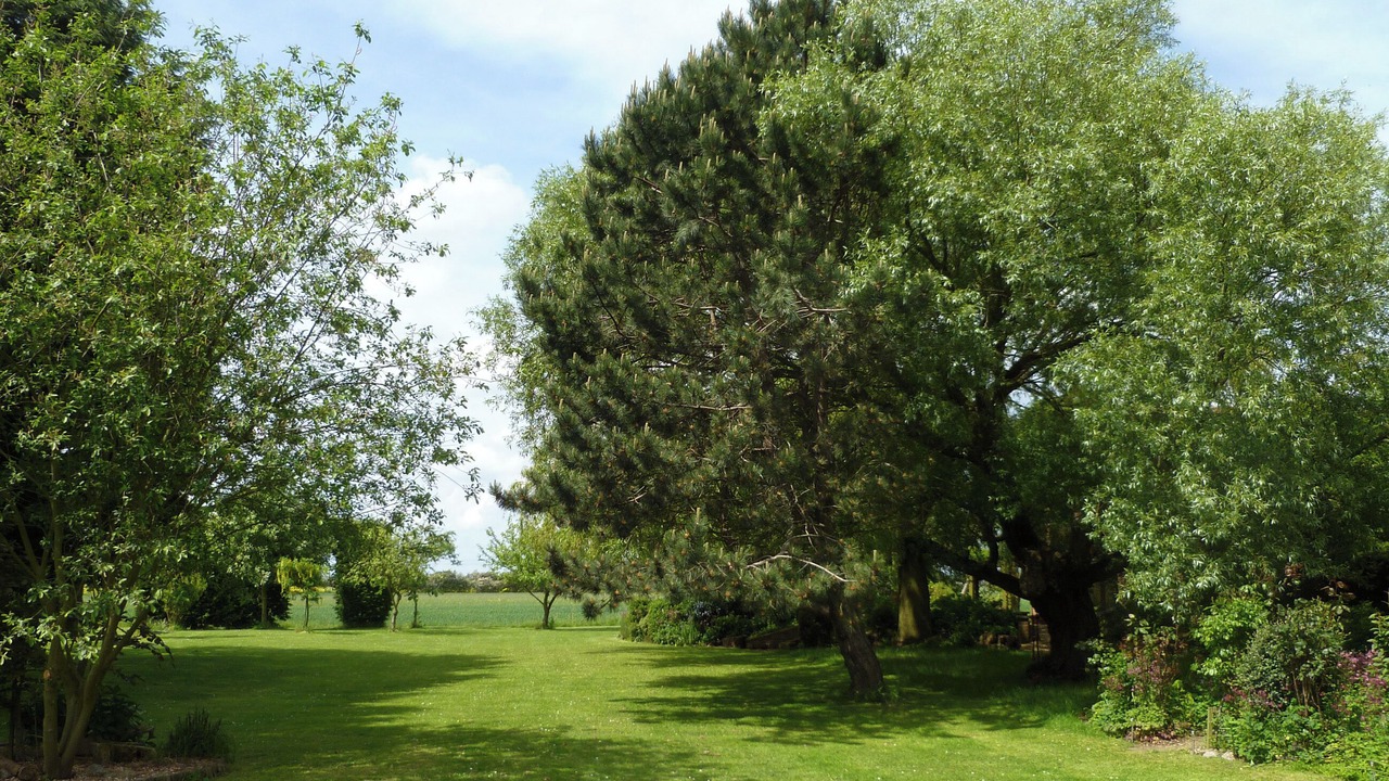 Photo of Outdoor in Skegness