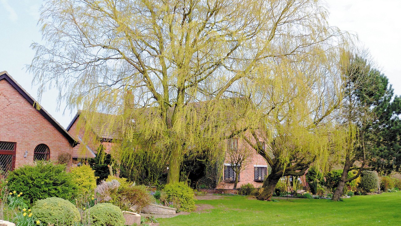 Photo of Others in Skegness