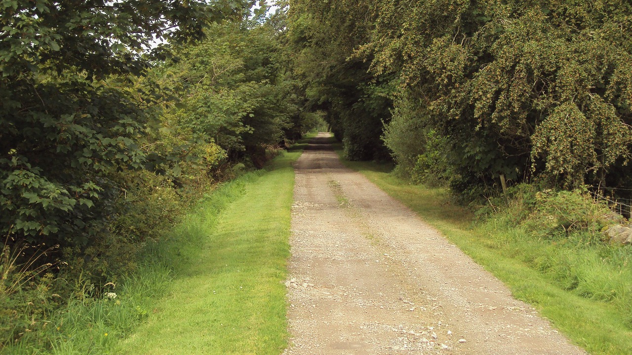 Photo of Others in Dalbeattie