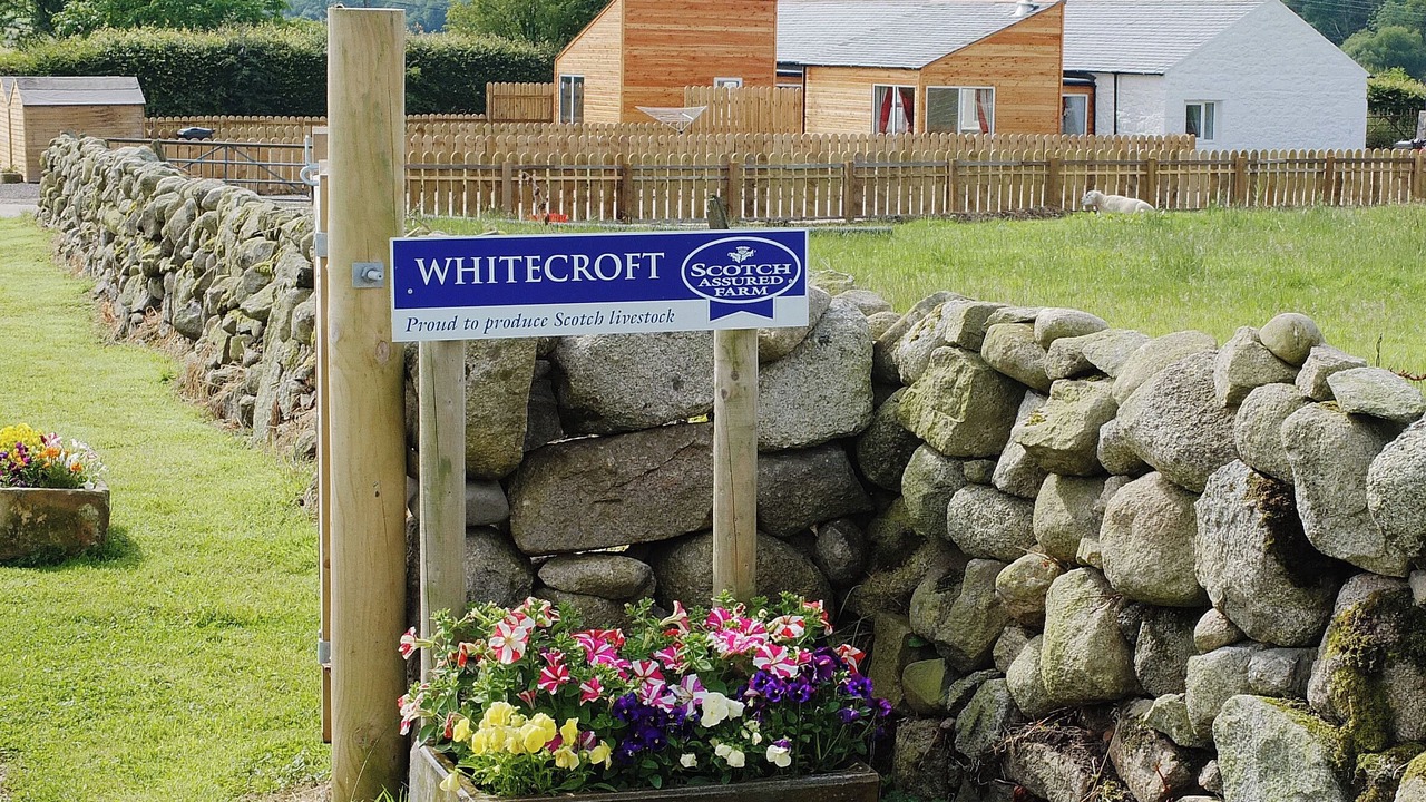 Photo of Others in Dalbeattie