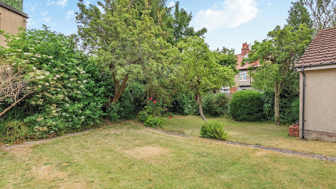 Photo of Outdoor in Bare