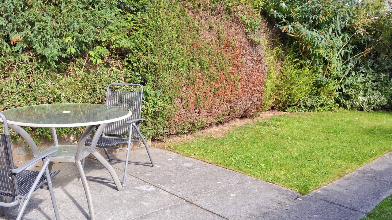 Photo of Outdoor in Scarborough