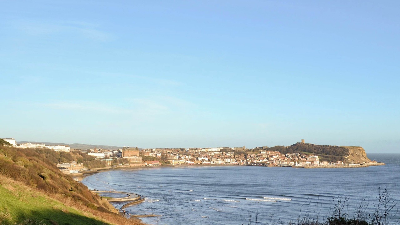 Photo of Others in Scarborough