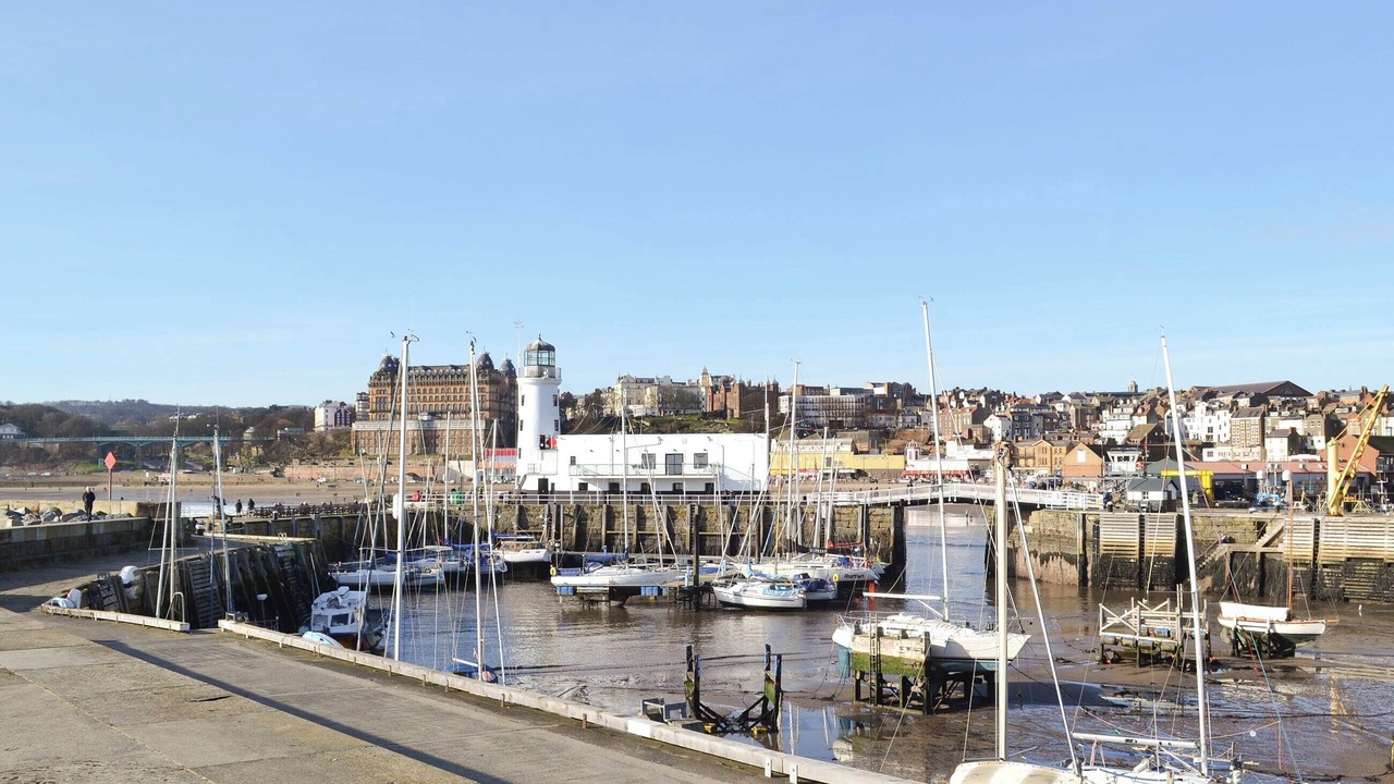 Photo of Others in Scarborough